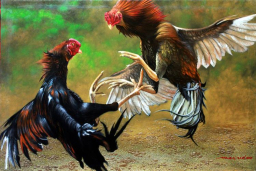 Diamnya Kasatreskrim Polres Kediri Picu Tanda Tanya, Arena Sabung Ayam Diduga Masih Buka