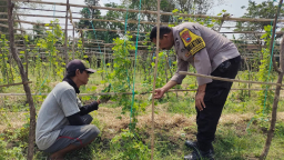 Pemanfaatan Lahan Pekarangan di Desa Sidoharjo Dukung Program Ketahanan Pangan