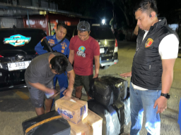 Polisi Airud Gagalkan Pengiriman 50 Ribu Benih Lobster Ilegal di Cianjur, Negara Berpotensi Rugi Rp7,5 Miliar