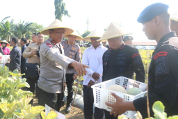 Brimob Jatim Gelar Panen Raya, Optimalkan Lahan untuk Ketahanan Pangan