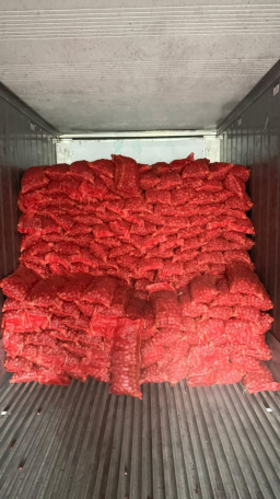 Polri Gempur Mafia Bawang Impor! 9 Ton Bawang Bombay Ilegal Dari India di Grebek Di Kota Malang, Ancam Petani Lokal
