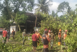 TNI–BPBD Sigap Evakuasi Pohon Tumbang di Sumberdadi Trenggalek