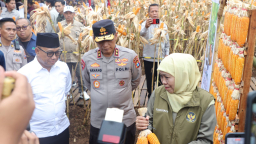 Kapolda Jatim dan Gubernur Panen Jagung di Green Farm Banyuwangi Penuhi Target Swasembada Pangan