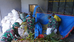 Wujud Kemanunggalan, Satgas TMMD Ke 127 Belajar Membuat Pakan Fermentasi Silase Bersama Warga Desa