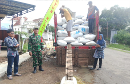 Babinsa Wonocoyo Dampingi Penyerapan 5,6 Ton Gabah Petani ke Bulog Trenggalek