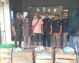 Karantina Jatim Gagalkan Upaya Penyelundupan Satwa Dilindungi