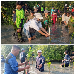Komunitas Informasi Masyarakat Surabaya melakukan Kegiatan Penanaman Bibit Pohon Mangrove di Pesisir Wisata Bahari