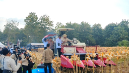 Presiden Prabowo dan Kapolri Panen Raya Jagung Nasional di Tuban Perkuat Ketahanan Pangan