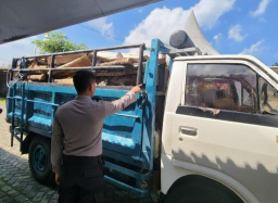 *Polres Malang Ungkap Pembalakan Hutan, Truk Bermuatan Kayu Diamankan*