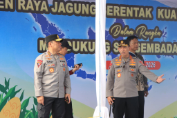 *Polri Bersama Petani Jagung Tuban Bersiap Sambut Kehadiran Presiden RI pada Panen Raya*