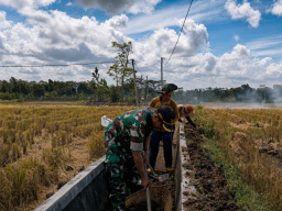 Jaga Produktivitas Pertanian, Babinsa dan Warga Normalisasi Saluran Irigasi