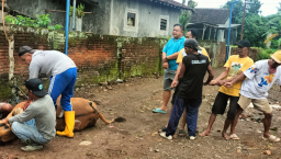 Tiga Tahun Berdiri, Komunitas IWB Kembali Gelar Qurban untuk Warga Tegalsari