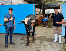 Wujud Kepedulian Sosial, PAM Surya Sembada Surabaya Salurkan 13 Ekor Sapi Qurban untuk Masyarakat