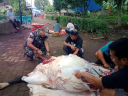 Serda Andrianto Babinsa Jajag Dampingi Penyembelihan Hewan Qurban di Masjid Miftahul Huda ( LDII )