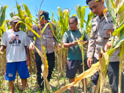 Polresta Sidoarjo Gelorakan Swasembada Pangan Melalui Program P2B