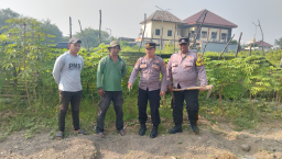 Polsek Pakal dan Warga Melaksanakan Panen Jagung di Lahan 800 Meter untuk Ketahanan Pangan Surabaya
