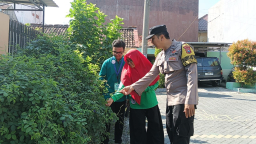 Ketahanan Pangan Kota | Tiga Pilar Jambangan Dorong Inovasi Pekarangan Produktif untuk Kemandirian Pangan Warga