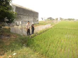 Bhabinkamtibmas Kelurahan Sumberrejo Sambangi Petani Sawah Tumpang Sari, Berikan Himbauan Kamtibmas