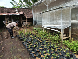 Dukung Asta Cita, Polsek Padang Ajak Warga Optimalkan Pekarangan Jadi Lahan Pangan Produktif