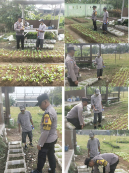 Bhabinkamtibmas Polsek Jambangan Perkuat Ketahanan Pangan Lewat Pendampingan Kelompok Tani Lestari