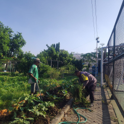 Dukung Ketahanan Pangan, Bhabinkamtibmas Rungkut Kidul Sambangi Poktan