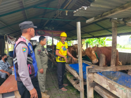 Bhabinkamtibmas Polsek Pakal Dukung Ketahanan Pangan dengan Sambangi Peternak Sapi di Kelurahan Pakal