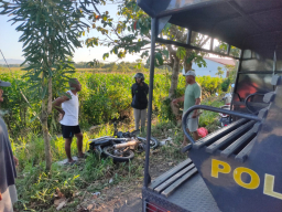 Diduga Hilang Kendali, Pelajar 15 Tahun Tewas usai Motor Tabrak Pohon