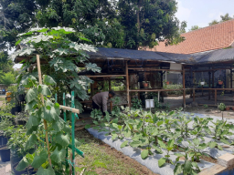 Ketahanan Pangan dari Lahan Perkotaan, Polsek Jambangan Dorong Warga Manfaatkan Pekarangan