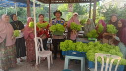 Dukung Ketahanan Pangan, Polsek Krembangan Panen Sawi Hidroponik Bersama KWT Dorang Cinta