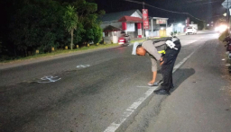 Diduga Gagal Salip, Pemotor Tewas Setelah Tabrak Pikap dan Hantam Bus di Rogojampi