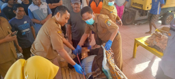 Perahu Jurek Terbalik di Pelawangan Grajagan, Dua Nelayan Tewas, Dua Masih Hilang