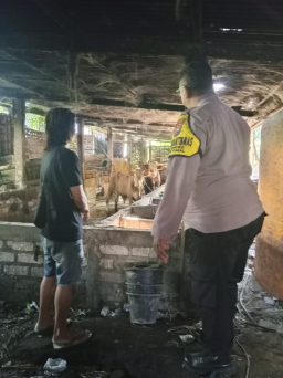 Bhabinkamtibmas Kelurahan Benowo Dukung Program Ketahanan Pangan Melalui Sambang Peternak Sapi