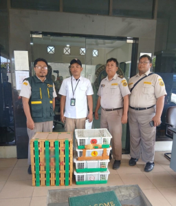 Disembunyikan di Dalam Truk, 69 Burung Tanpa Dokumen Karantina Digagalkan di Pelabuhan Tanjung Perak