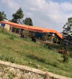 Dugaan Praktik Sabung Ayam di Desa Ngroto Kembali Disorot Warga, Aparat Diminta Bertindak