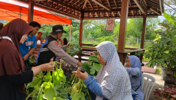 Polres Pelabuhan Tanjung Perak Panen Sawi Caisin Hidroponik, Wujud Nyata Dukung Ketahanan Pangan Nasional