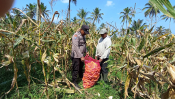 Dukung Asta Cita Presiden, Bhabinkamtibmas Senduro Dampingi Petani Panen Jagung