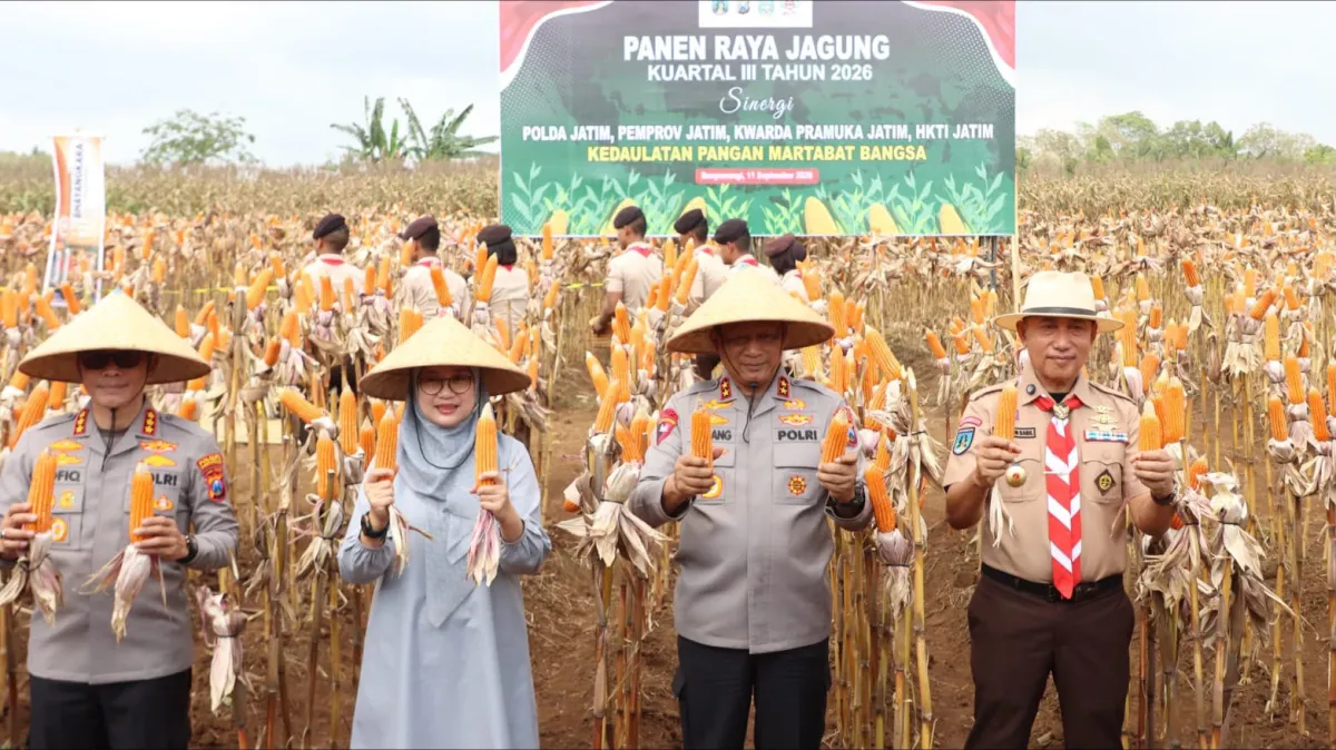 Panen Raya Jagung di Banyuwangi, Kapolda Jatim Dorong Riset Benih Unggul untuk Dongkrak Produktivitas