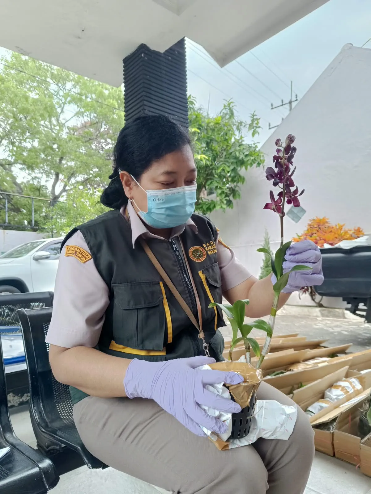 Tembus 1.006 Pengiriman Sebulan, Karantina Jatim Awasi Lalu Lintas Tanaman Hias dari Bandara Malang