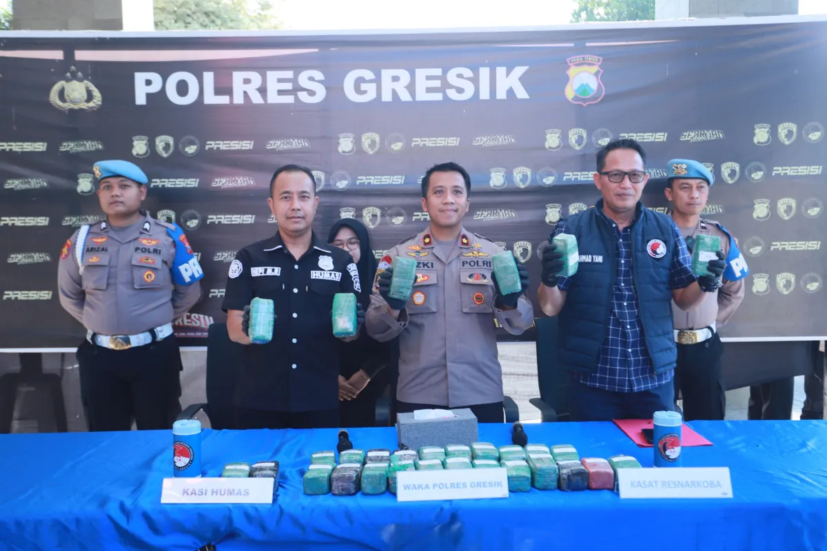 Polres Gresik Sita 10,8 Kg Ganja di Gudang Ekspedisi
