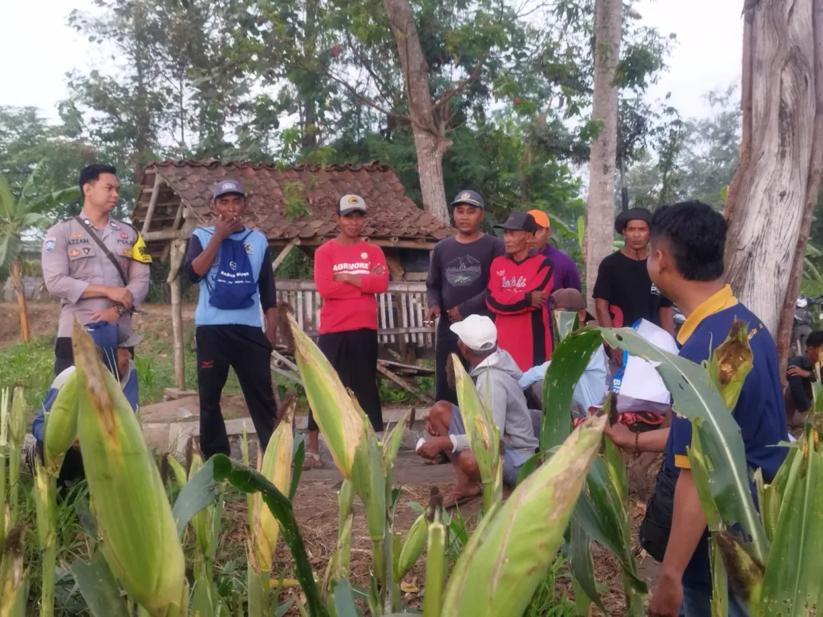 Dukung Asta Cita, Bhabinkamtibmas Desa Tekung Polsek Tekung Dorong Ketahanan Pangan Warga