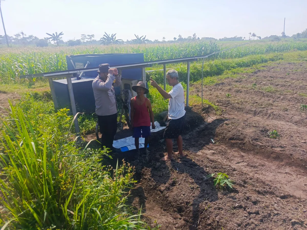 Kawal Ketahanan Pangan, Polsek Tempeh Turun Langsung ke Lahan Pertanian Warga