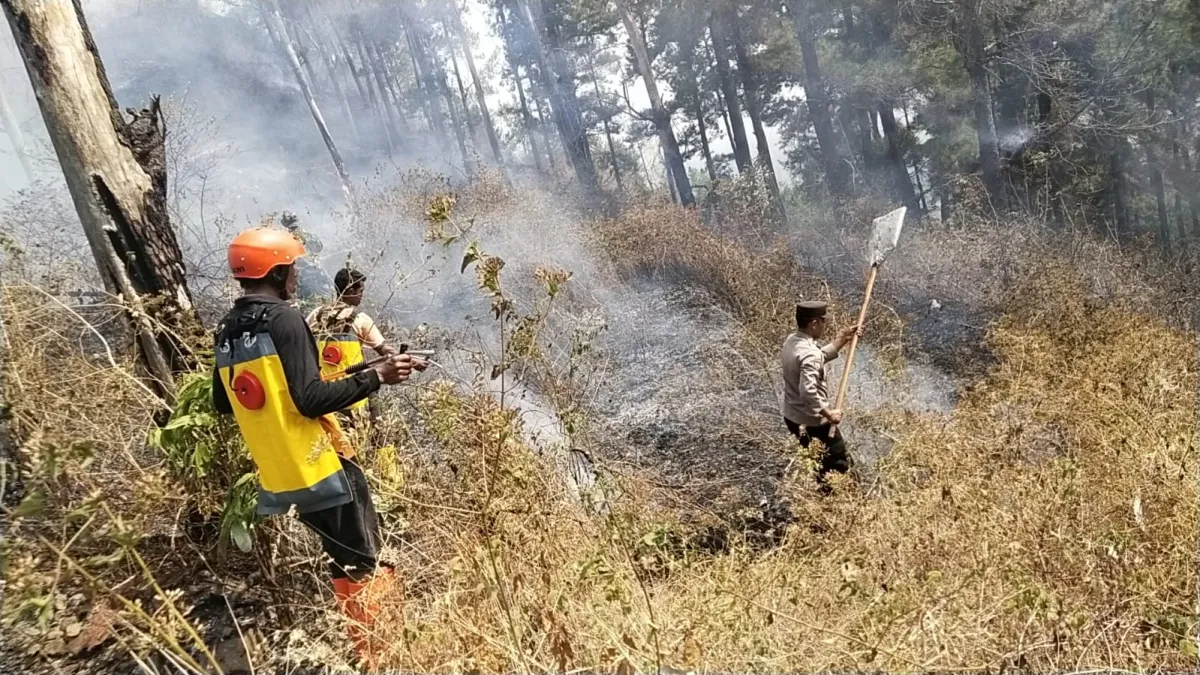 Polres Ngawi dan Tim Gabungan Jinakan Api di Gunung Botak, Medan Berat Jadi Tantangan