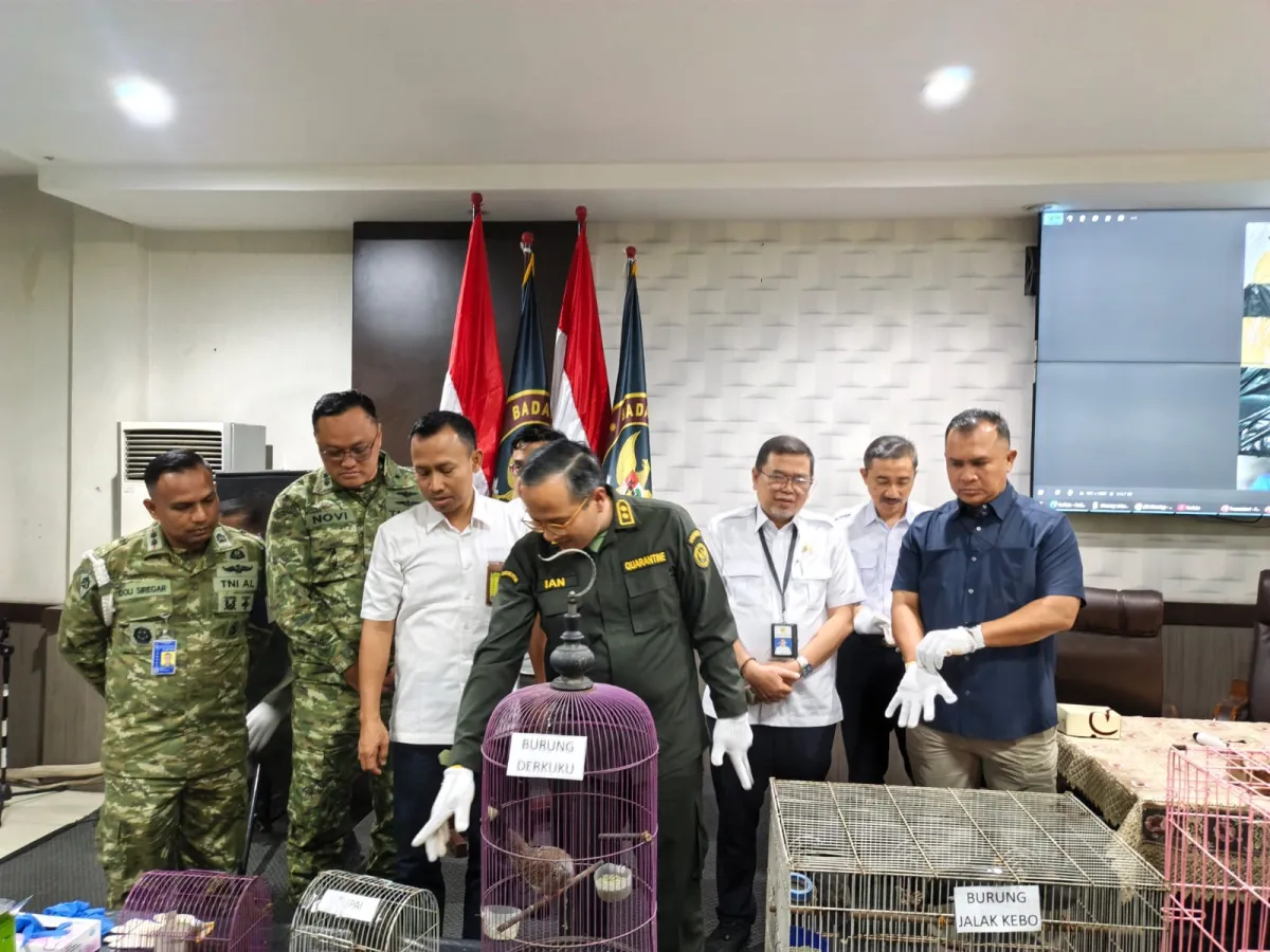 Dua Hari Berturut-turut, BKHIT Jatim Ungkap Pembawaan Satwa Tanpa Dokumen di Bandara Juanda